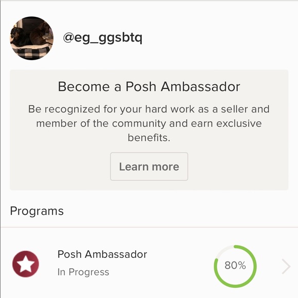 Meet your Posher, Ellen and Gigi - Picture 2 of 3